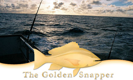 Golden Snapper - Corporate Fishing Challenge