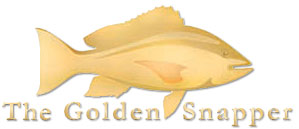 Golden Snapper